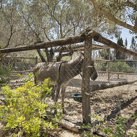 Cambiardeaires Rural Piedra Villa Pilar de la Horadada Eksteriør billede